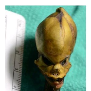 Meet your Posher, Ted